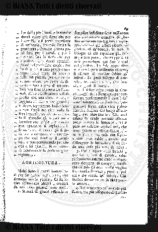 n. 13 (1784) - Pagina: 97