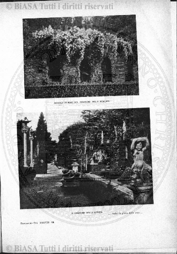 v. 5, n. 41 (1778-1779) - Pagina: 321