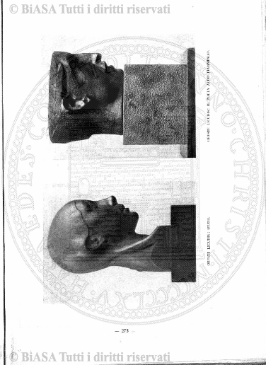 supplemento v. 1, n. 1, (1882-1883) - Pagina: 1