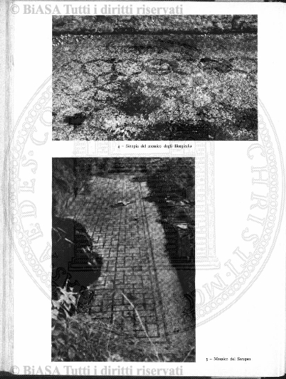 n. 34 (1785) - Pagina: 265
