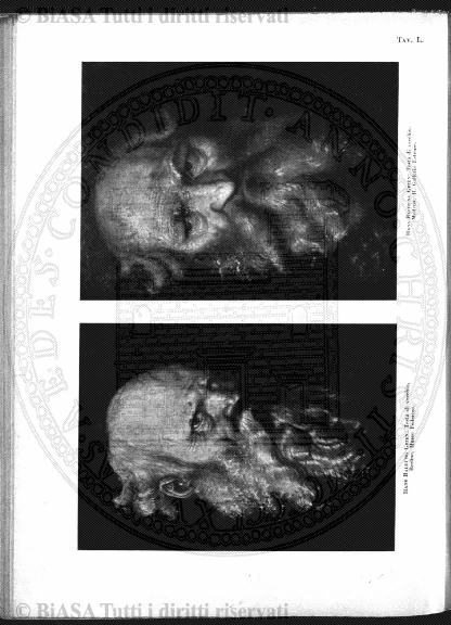 n.s., gen-mar (1893) - Pagina: 1