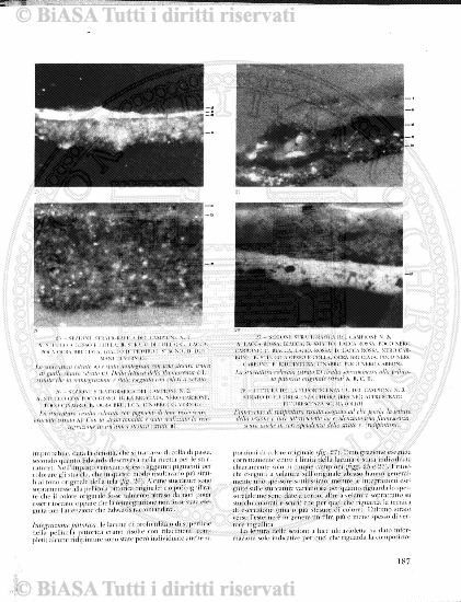 s. 2, v. 1, n. 12 (1875) - Sommario: p. 177