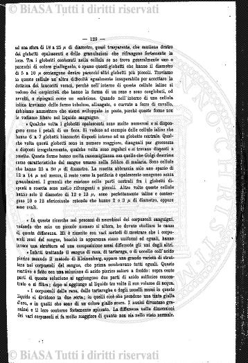 n. 3 (1922-1923) - Copertina: 1
