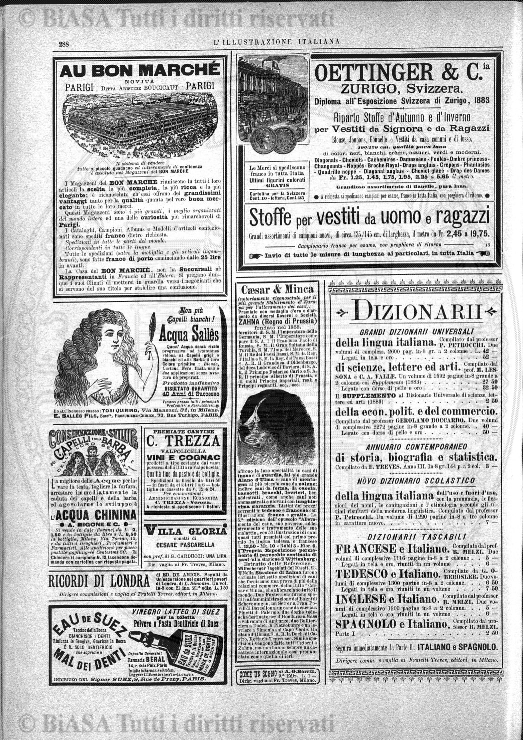 s. 4, n. 8 (1885) - Sommario: p. 113