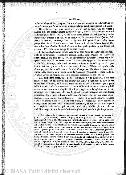 v. 1, n. 4 (1927-1928) - Copertina: 1