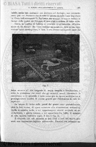 v. 22, n. 25 (1855-1856) - Pagina: 193