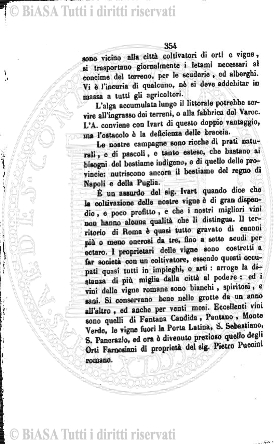 n. 8 (1896) - Pagina: 61