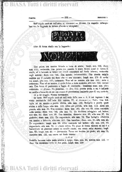 v. 10, n. 28 (1843-1844) - Pagina: 217