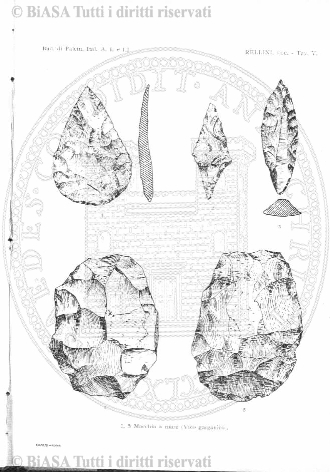 v. 14, n. 3 (1847-1848) - Pagina: 17