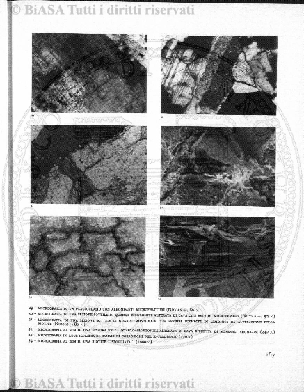 v. 13, n. 50 (1786-1787) - Pagina: 393