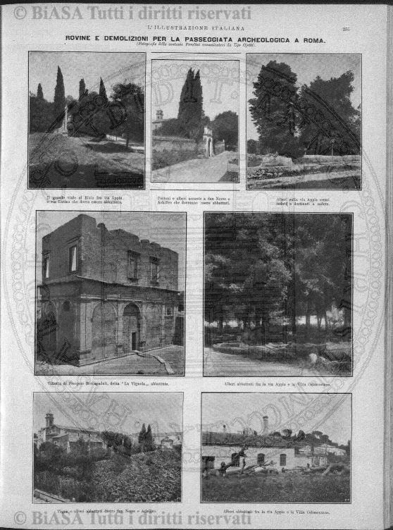 n. 7 (1901) - Copertina: 1 e sommario