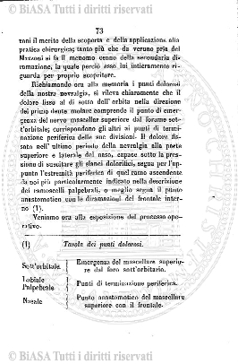 n. 31 (1885) - Frontespizio