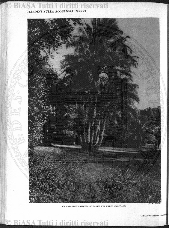 n. 9 (1888) - Pagina: 17