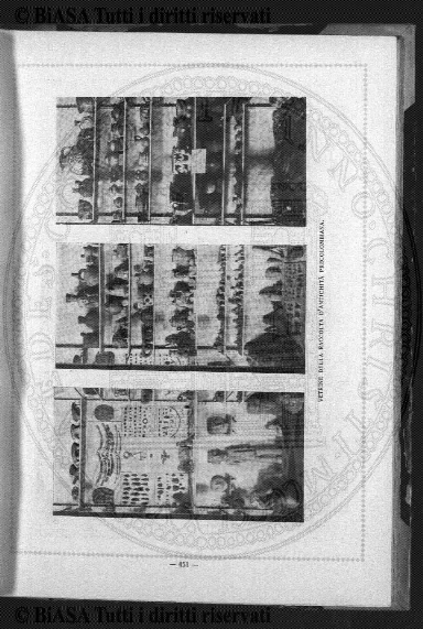 s. 4, v. 3, n. 11-12 (1907) - Pagina: 193