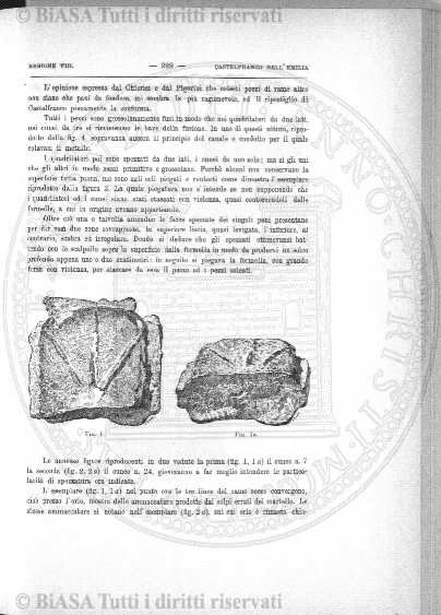 v. 5, n. 6 (1840-1841) - Pagina: 45