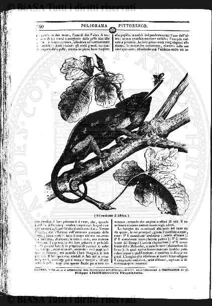 v. 72, n. 427 (1930) - Copertina: 1