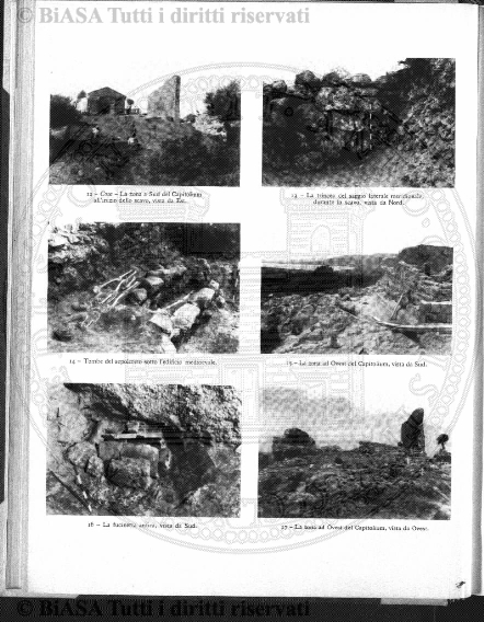 n. 7 (1878) - Pagina: 433