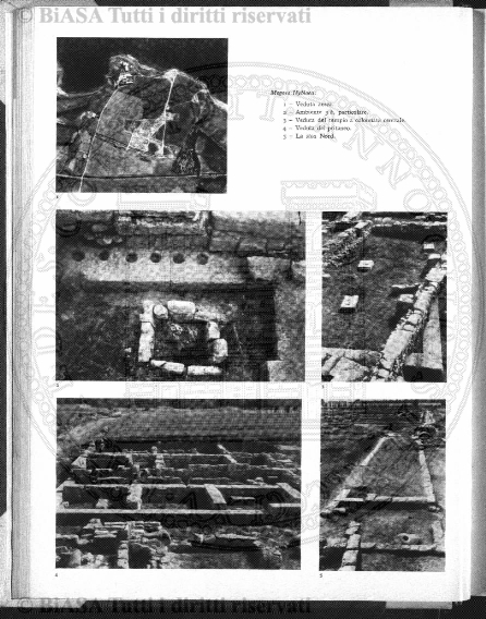 v. 26, n. 48 (1859-1860) - Pagina: 377