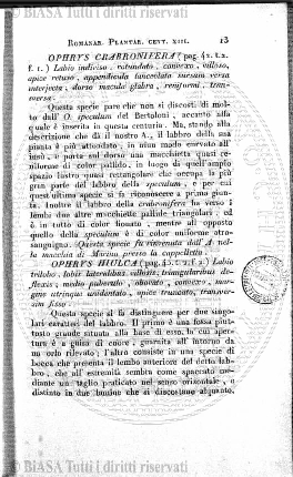 n. 47 (1890-1891) - Pagina: CXXI