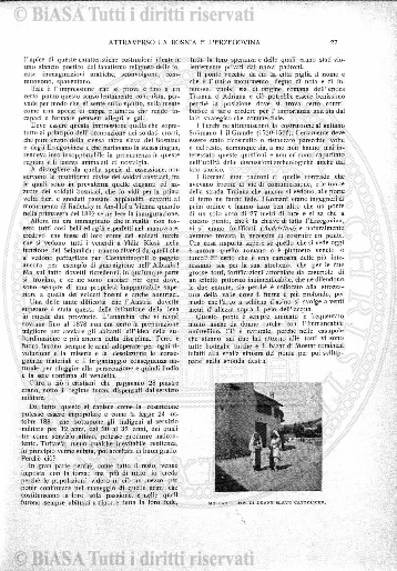 n. 24 (1894) - Frontespizio