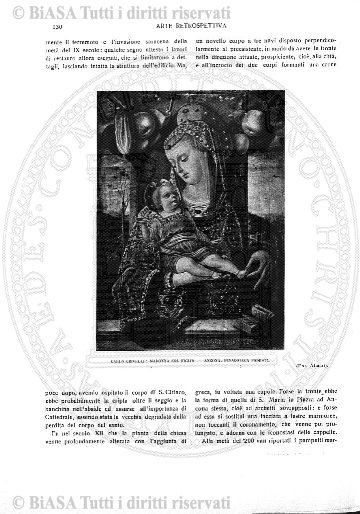 n. 11 (1914) - Copertina: 1