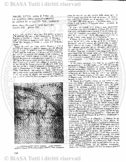 s. 3, n. 15 (1894) - Pagina: 225