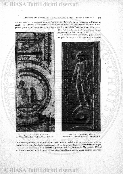 v. 20, n. 40 (1853-1854) - Pagina: 301