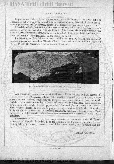 v. 20, n. 44 (1853-1854) - Pagina: 333