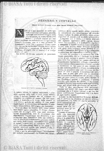 n. 9 (1909-1910) - Pagina: 97