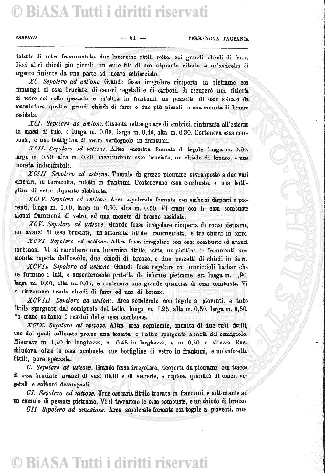 n. 11 (1928) - Pagina: 121