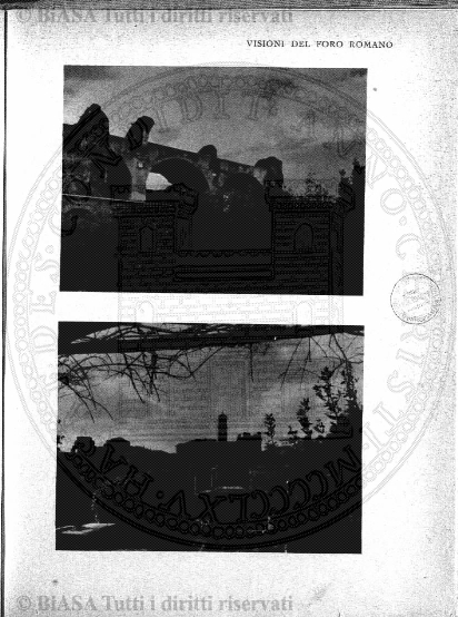 s. 2, n. 3 (1891-1892) - Pagina: 49