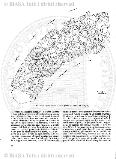 n. 25 (1883) - Frontespizio