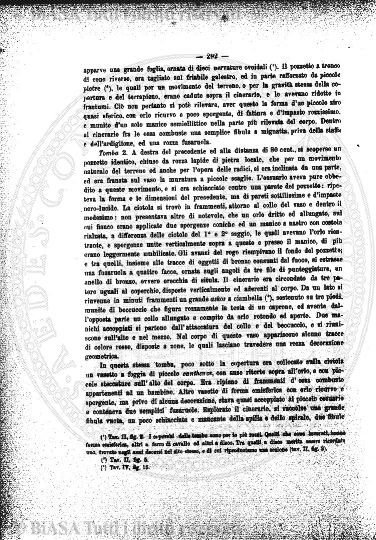 s. 3, v. 7, n. 10-12 (1901) - Pagina: 217