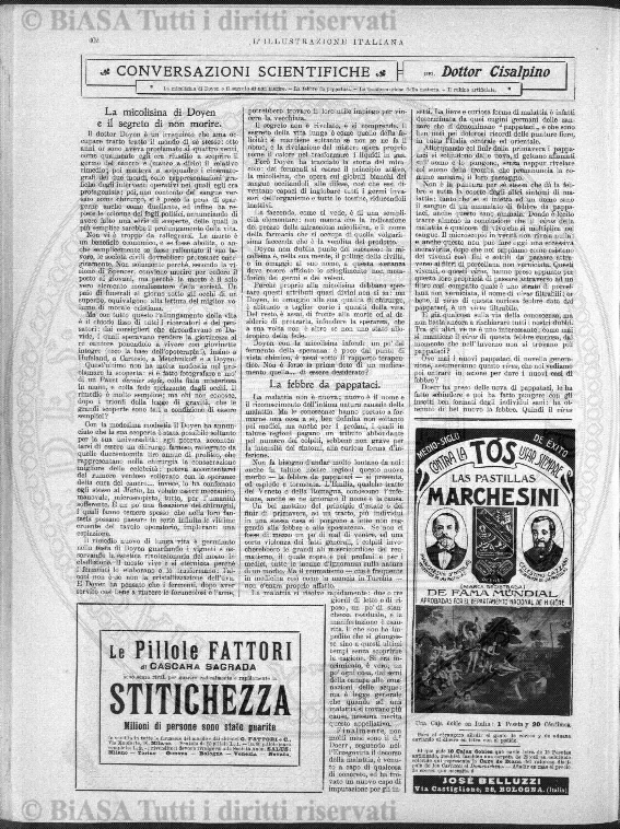 n. 24 (1861-1862) - Pagina: 185