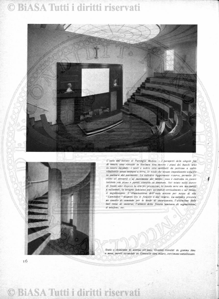 n. 38 (1883) - Pagina: 297