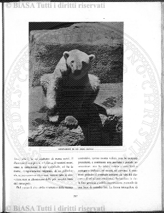 s. 3, v. 8, n. 3 (1883-1884) - Copertina: 1