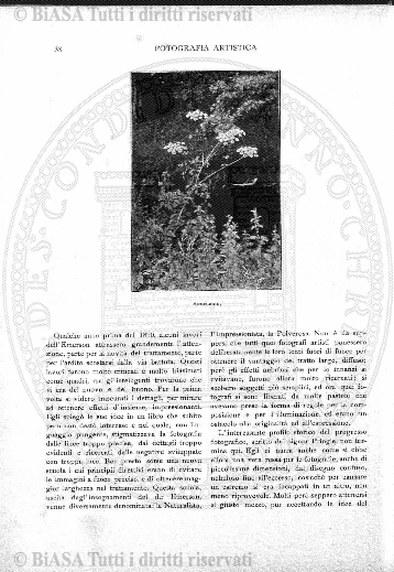 s. 3, v. 8, n. 10 (1883-1884) - Copertina: 1