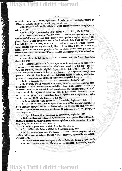 v. 2, n. 2 (1873) - Pagina: 25