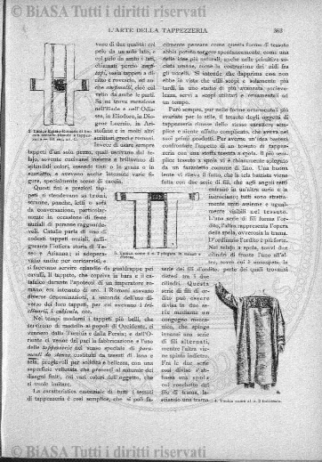 v. 2, n. 8 (1893) - Pagina: 113
