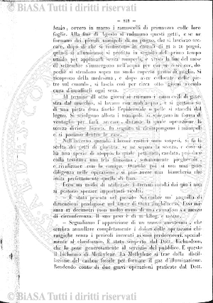 n. 10 (1878) - Pagina: 19