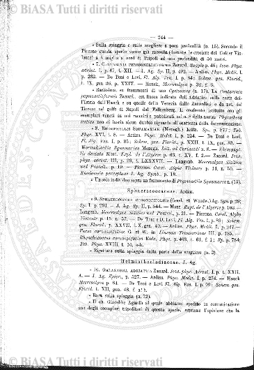 n. 11 (1928) - Pagina: 121