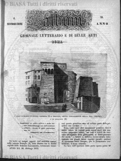 n. 3 (1884) - Pagina: 5