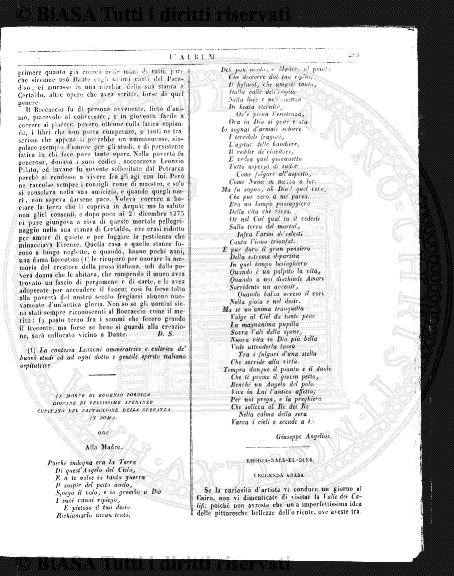 s. 3, v. 6, n. 31 (1900) - Copertina: 1 e sommario