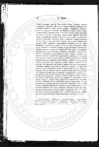 n. 8 (1920) - Copertina: 1