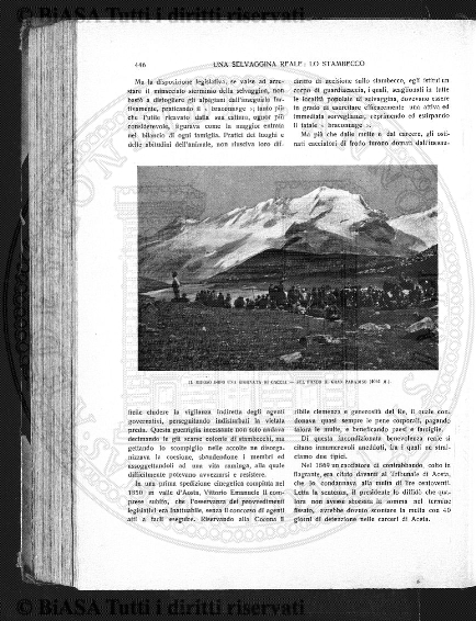 s. 7, v. 1 (1941) - Copertina: 1