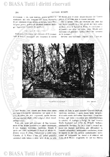 1894-95 (1894-1895) - Copertina: 1