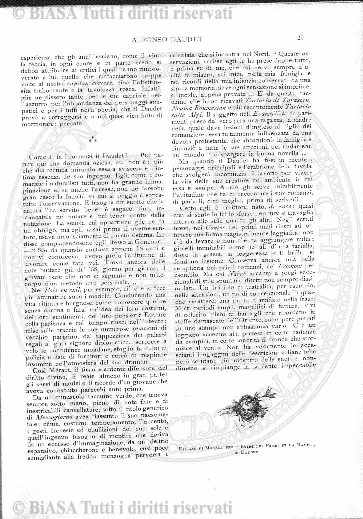 v. 4, n. 7 (1839-1840) - Pagina: 53