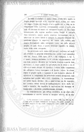 n. 11 (1874-1875) - Pagina: 81