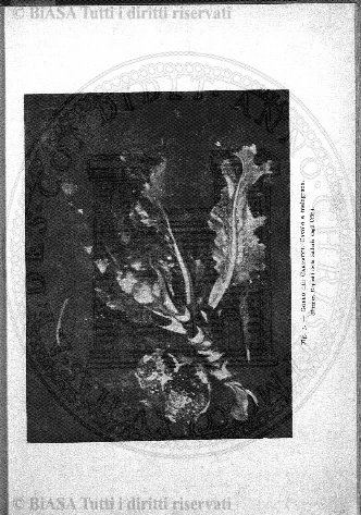v. 21, n. 122 (1905) - Copertina: 1