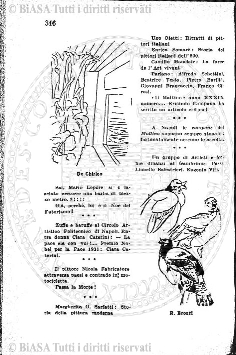 s. 3, v. 3, n. 4-6 (1897) - Pagina: 49